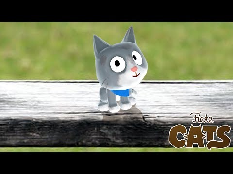 AR Kids App Fiete Cats - Take care of your very own kitten