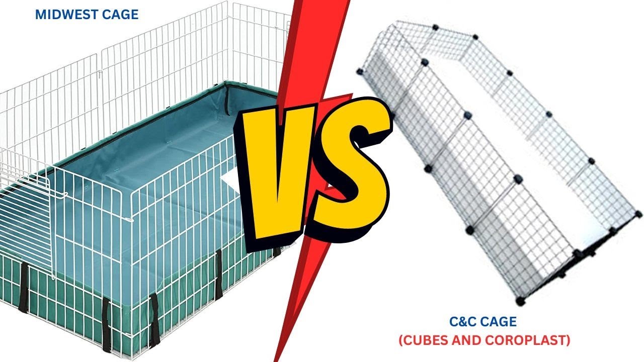 Midwest cage VS. C&C cage (cubes and coroplast)