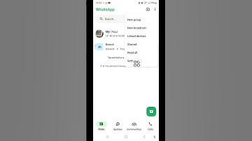 WhatsApp video call camera effect kaise off Karen | How to disable camera effect on WhatsApp #shorts