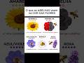 VOCÊ SABIA DISSO? #abelhas #flores #polem #insetos
