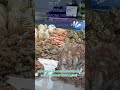 RISTOPESCHERIA DAI PESCATORI, BANCHINA REVEL, LA SPEZIA!!!! IL MEGLIO DEL MARE 🌊 🌊