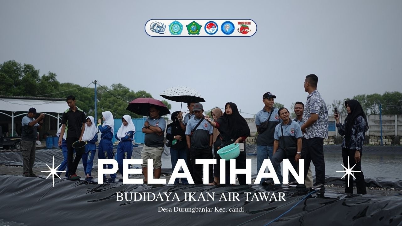 Pelatihan Budidaya Ikan Air Tawar Desa Durungbanjar, Kec. Candi Di P2MKP Fish Boster Centre