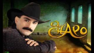 Video thumbnail of "El Chapo de Sinaloa - Amarla es un placer"