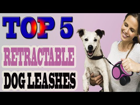 best-retractable-dog-leashes-2020-–-top-5-dog-retractable-leash.
