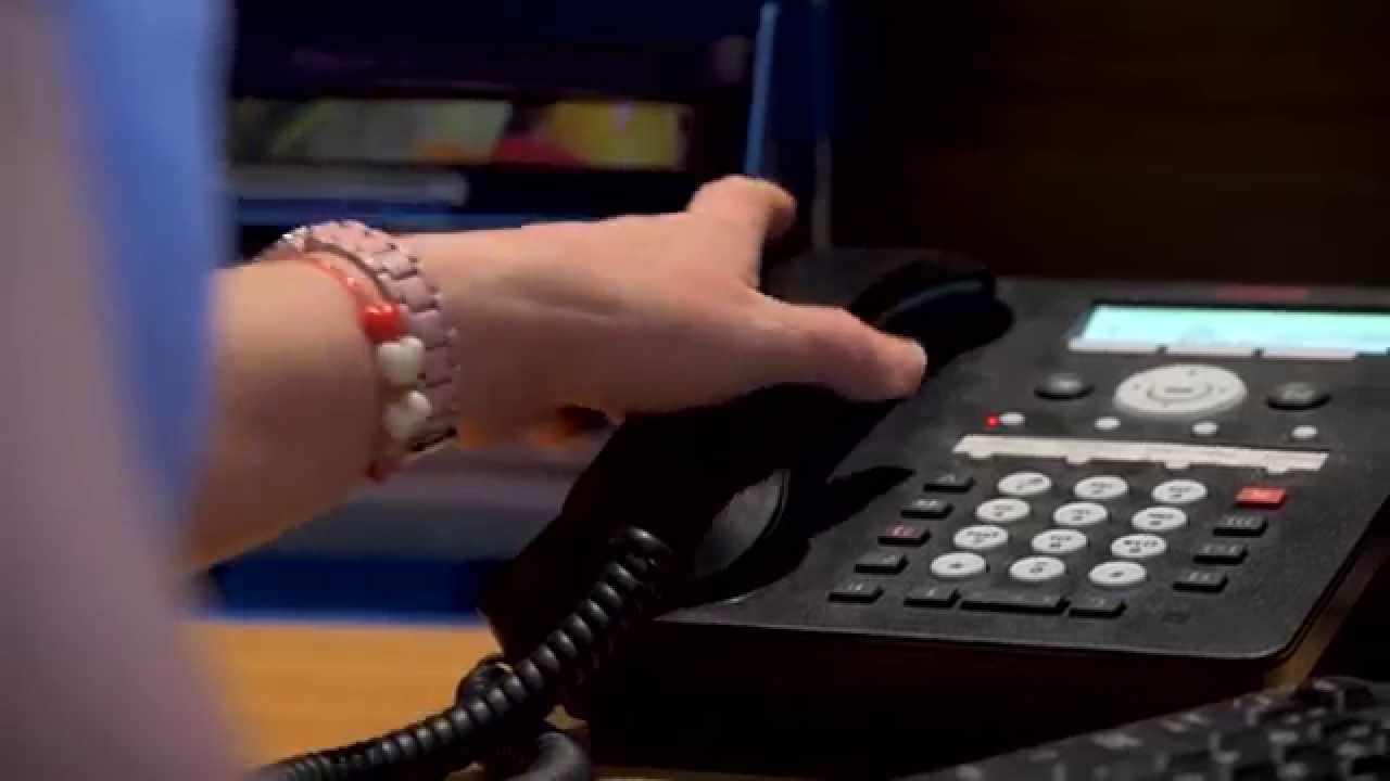 Vets Quarrington Veterinary Surgery YouTube