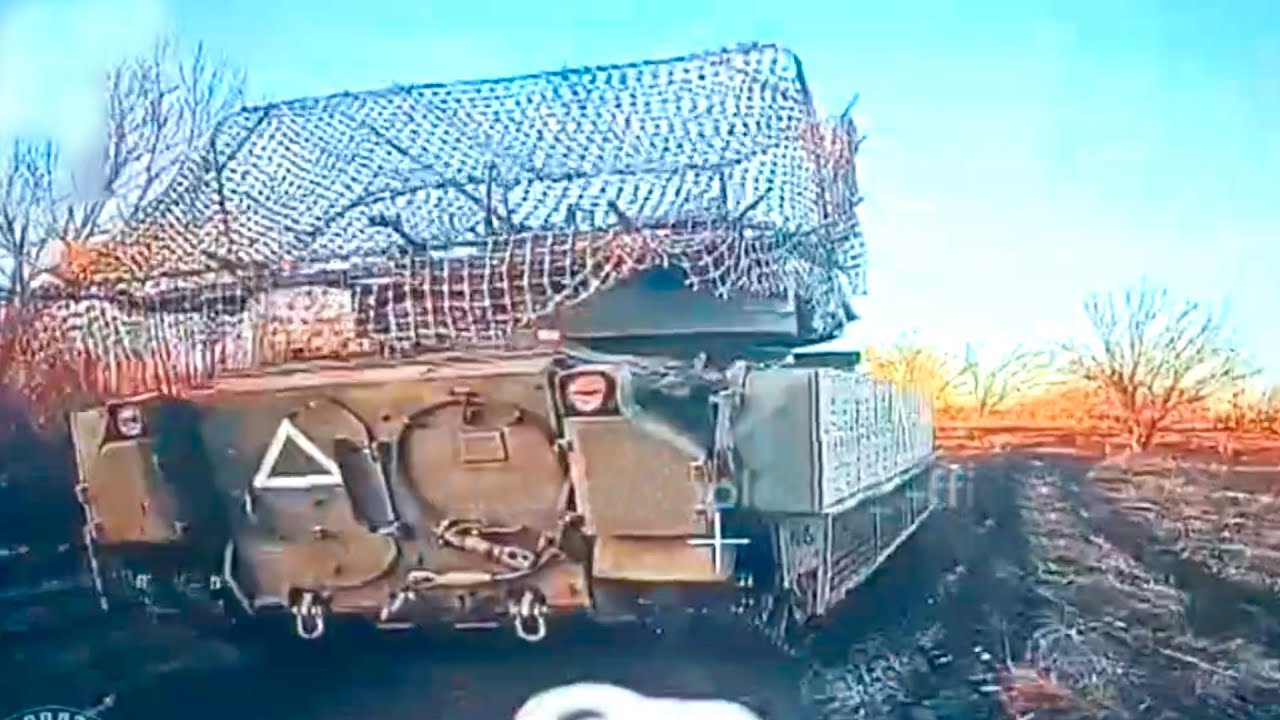 Easy Body Meal Exchange ��������: ����.