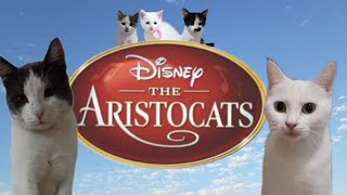 Aristocats 2024 Live Action
