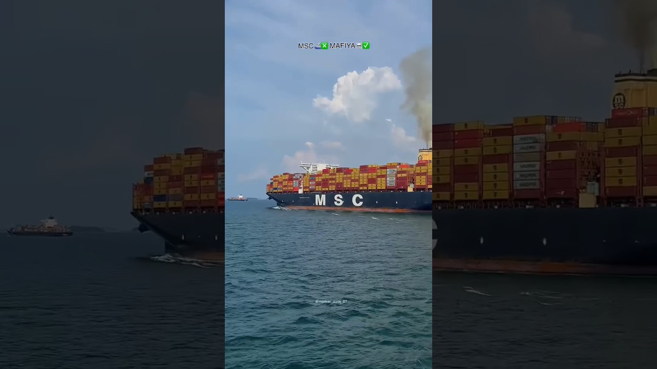 MSC Mafiya|msc ships|join navy|dream job|merchant navy status|navy status 