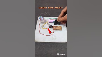 Magnetic Switch Project 😱 #shorts #project #amazing_inventions #ideas #electrical #video