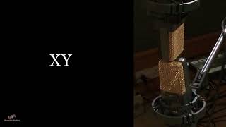 Stereo Microphone XY Technique