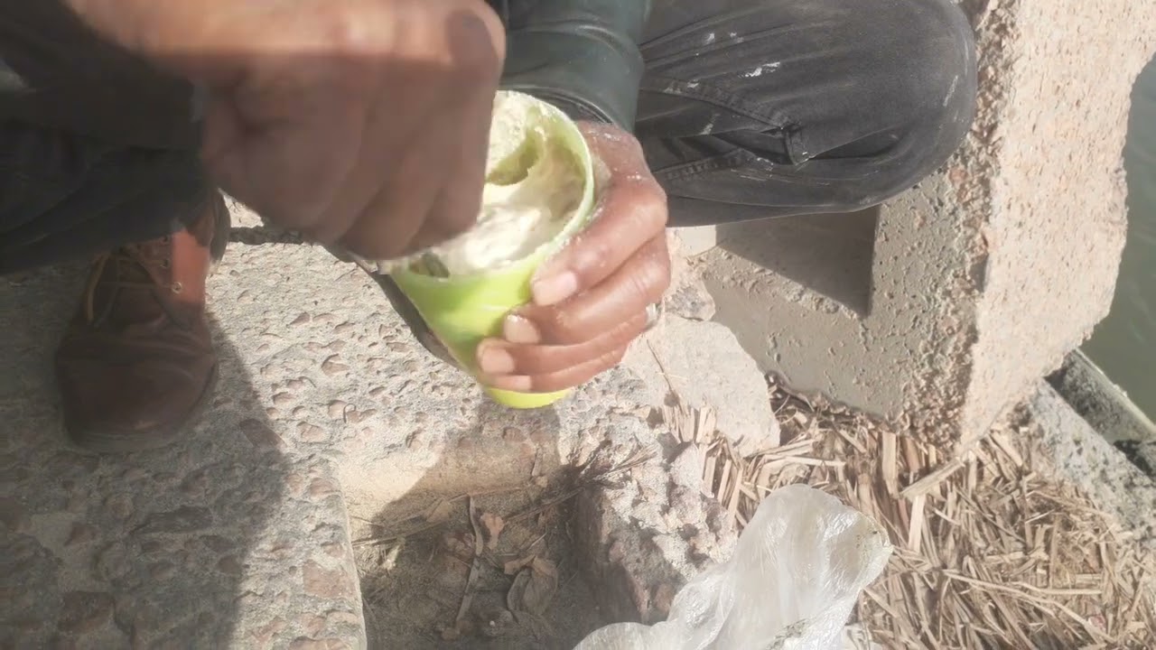 صيد #عجينة السمك البورى النيه @شوفبنفسك#