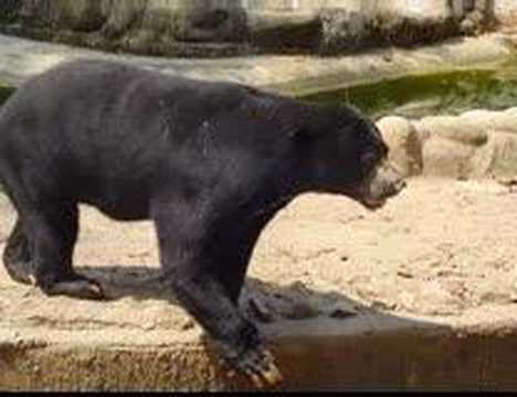 Trip to Melaka Zoo