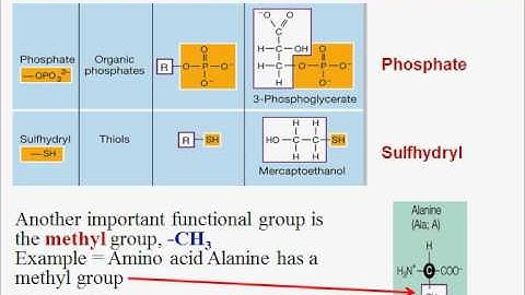 Macromolecules Part One: Introduction
