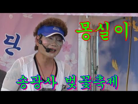 몽실이 단장님~<strong>송광사</strong> 벚꽃축제