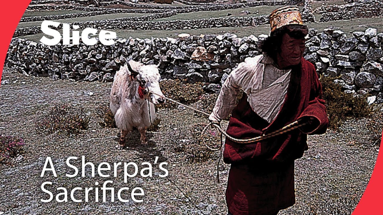 Documentary backdrop image for The White Yak Legend: Can Faith Heal? (2025)