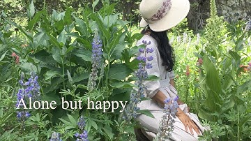 An Introvert