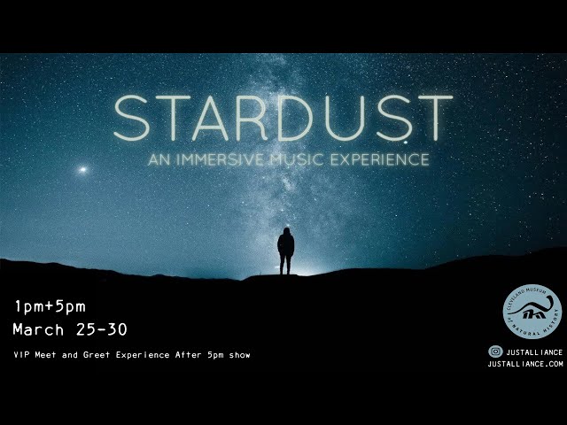 Stardust