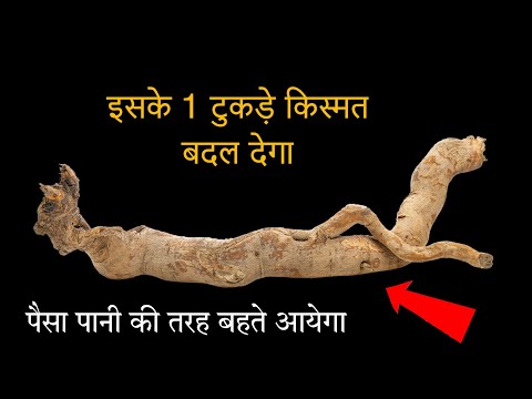 वीडियो: महत्वपूर्ण की जड़ क्या है?