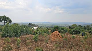 Prime Real estate in Buwama off Masaka Road | My client’s property | Uganda Real Estate 🇺🇬 