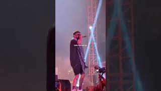 Madira - Seedhe Maut #seedhemaut #dhh #tbsm4l #rapmusic