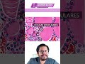HISTOLOGÍA | FOLÍCULO TIROIDEO