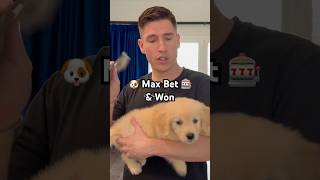 🐶Puppy Max Bet Slot Bonus🎰 #slots #gambling #puppy #casino #jackpot #handpay #hardrocktampa