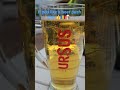 Ursus Pilsner🇷🇴🍺#music #beer #bere #romania #pilsner #ursus#shorts