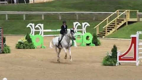 Video of BLUE SKY VAN DE OLMENHOEVE ridden by MARL...
