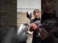 ミラーの取り付け #バイク女子 #バイク整備 #バイク