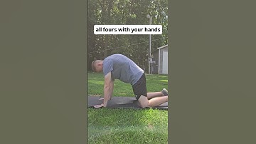 Cat-Cow Stretch for Spinal Mobility