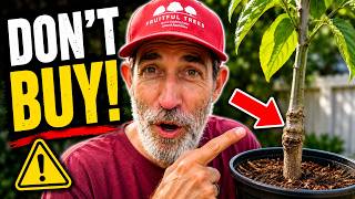 WARNING! Don't Buy a Mulberry Tree Until You Watch This!
