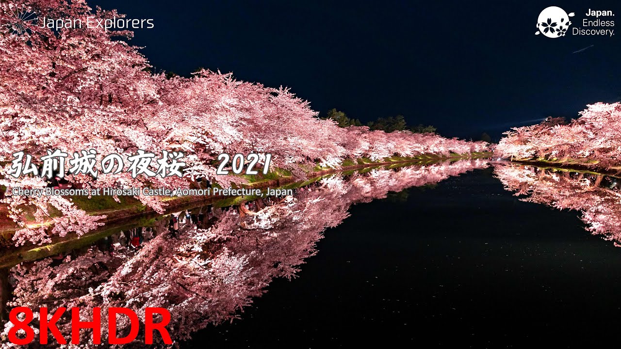 弘前城の夜桜 21 Cherry Blossoms At Hirosaki Castle 8khdr Youtube
