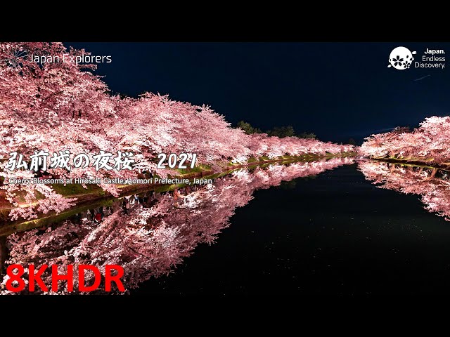 弘前城の夜桜 2021 Cherry Blossoms at Hirosaki Castle 8KHDR - YouTube