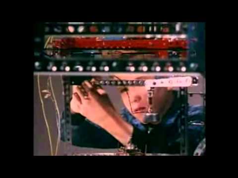 DODDODO - Doddodo death