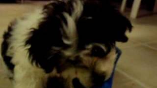 PC100005.AVI