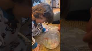 Cihangir bak sana arkadaş😱 #funkoanime #funny #youtubeshorts #unfrez #baby #shortvideo #comedy