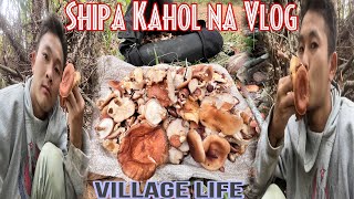 SHIPA TAM DAN2 CU 🍄‍🟫🍄🍄‍🟫 Village life Vlog BaeMang Official🍄‍🟫🍄🍄‍🟫