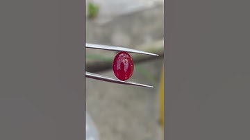 Ruby Lục yên Yên Bái Lên Nhẫn Nam Siêu Đẹp #trieugold0854589999 #jewelry #zalo0947502999