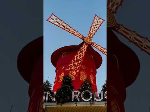 Relaxing French accordion