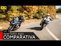 BMW R1200GS Rallye VS Ducati Multistrada Enduro PRO [ENGLISH SUB]