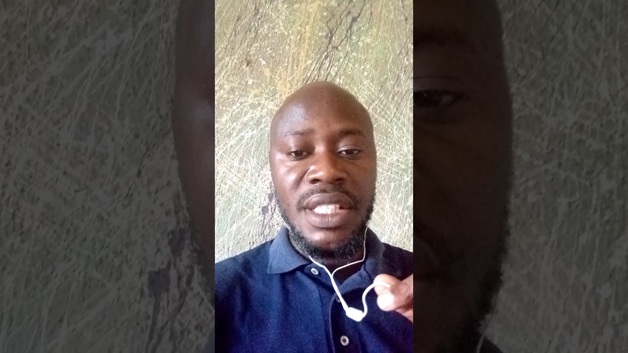 Why I am interested in the NESG/Bridge Fellowship