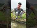 👉 誰もが知っておくべきサバイバルのコツ🔥