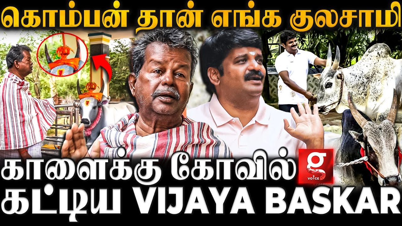 கொம்பனை நினைத்து உடைந்து அழுத  Vijaya Baskar அப்பா💔😭Emotional Interview | Jallikattu | Komban