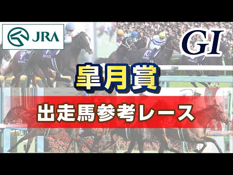 【参考レース】2024年 皐月賞｜JRA公式