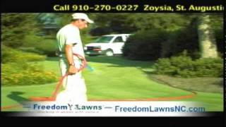 Freedom Lawns Free Lawn Analysis
