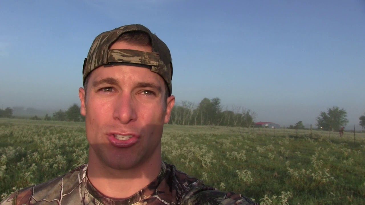 DOVE HUNTING TIPS: 7 1/2s or 8s?  Decimation Inc 2018 Hunt 2