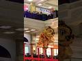 Barongsai lion dance barongsai lion dance!!