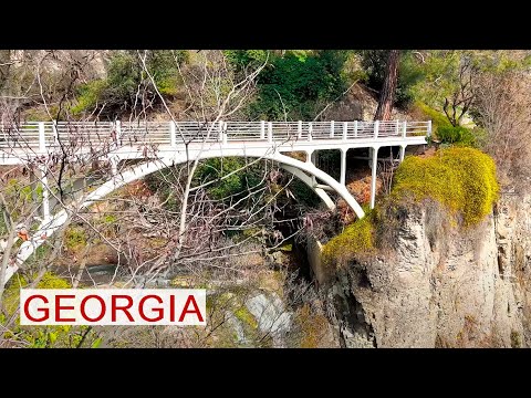 Video: Milliy botanika bog'i (Jardin Botanico Nacional) tavsifi va fotosuratlari - Chili: Vina del Mar