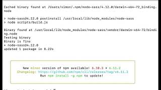 node sass