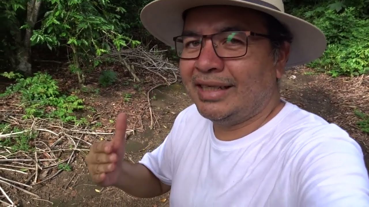 Como tenemos que fertilizar correctamente lo que la planta necesita